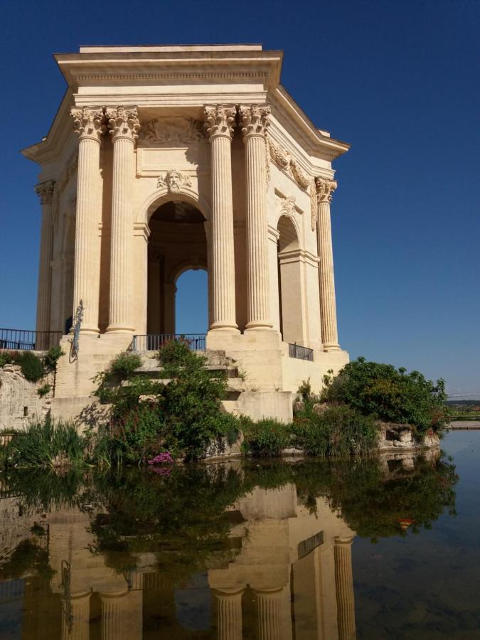 Un Oasis Au Coeur De La Vieille Ville, Classe 4 Etoiles Montpellier Eksteriør billede
